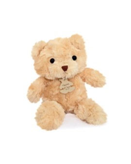 L'Ours en peluche - Histoire d'Ours
