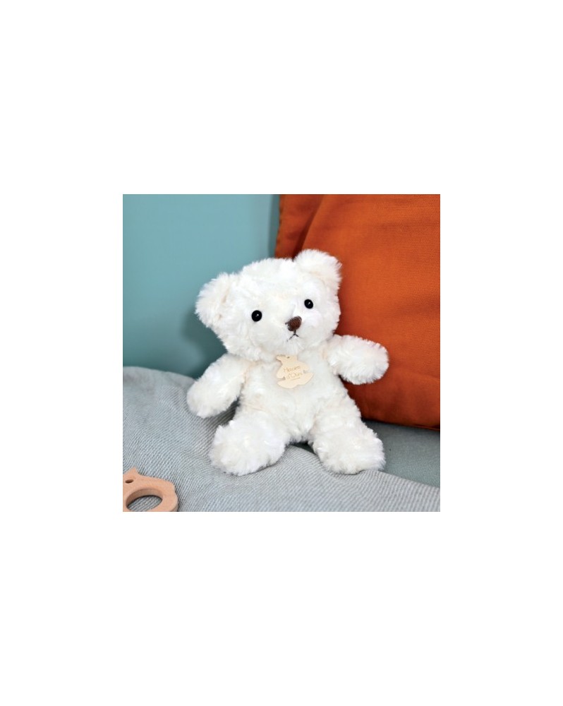 L'Ours en peluche - Histoire d'Ours